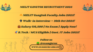 NIELIT Gangtok Faculty Jobs 2025