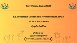 Territorial Army 2025
