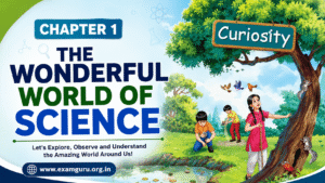 Chapter 1 The Wonderful World of Science
